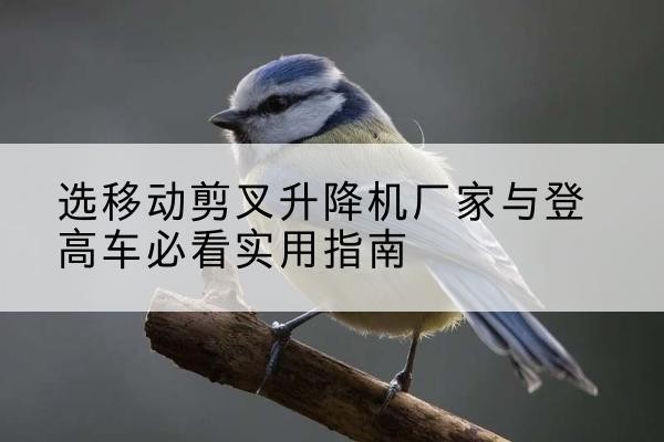 大关电动升降机厂家-选移动剪叉升降机厂家与登高车必看实用指南
