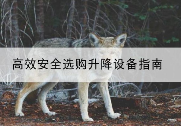 大关升降货梯厂家推荐-*安全选购升降设备指南