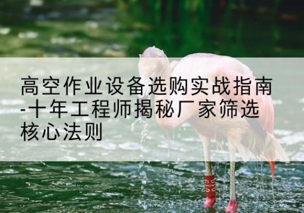 大关剪叉式升降机厂家-高空作业设备选购实战指南-十年工程师揭秘厂家筛选核心法则
